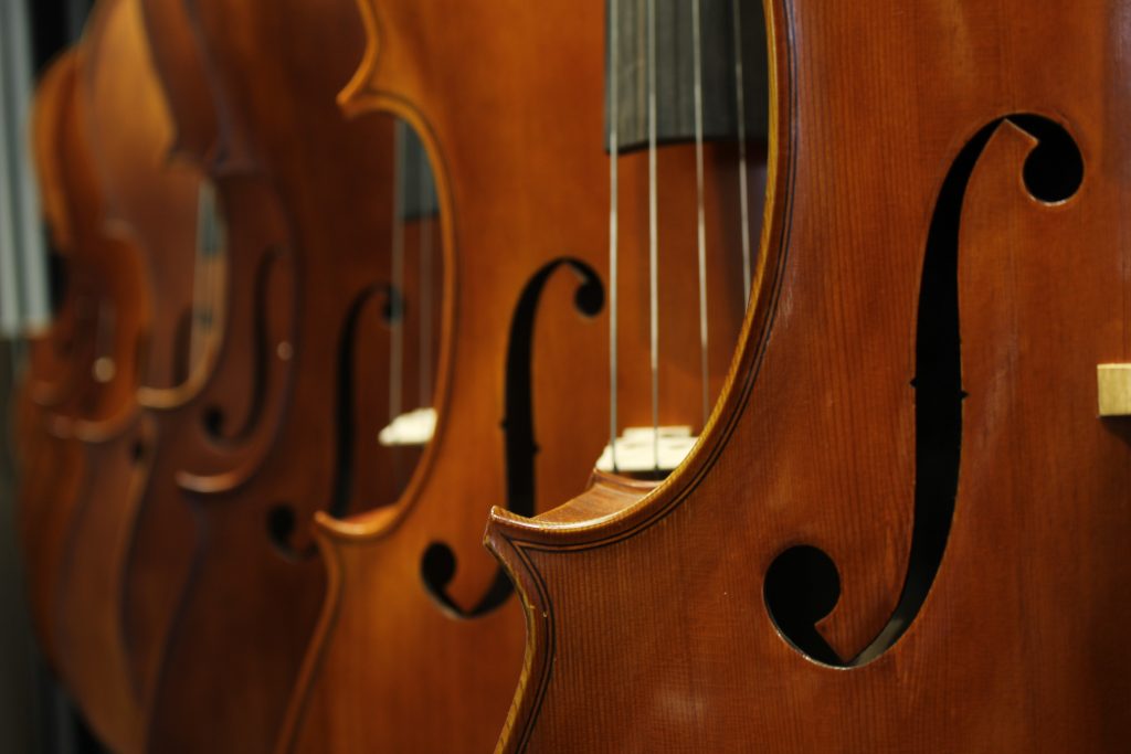 A row of 6 double basses in a line